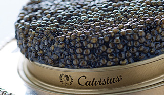 Llega a Chile, el mximo exponente gastronmico de lujo del Mundo, el Caviar